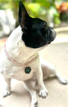 Load image into Gallery viewer, Sublime Necklace