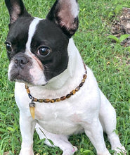 Load image into Gallery viewer, Electricity Necklace