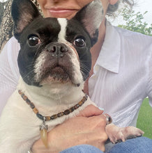 Load image into Gallery viewer, Electricity Necklace